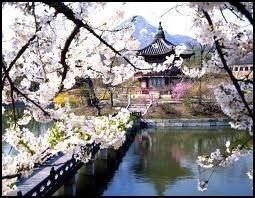 nalog planirovanie v mire i rossii5