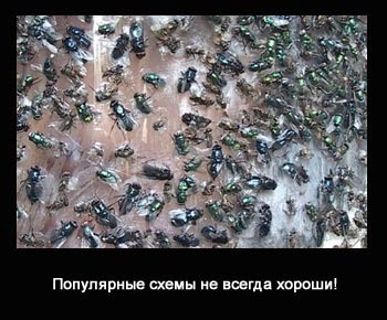 Какие оффшорные схемы и решения в России до сих пор популярны?