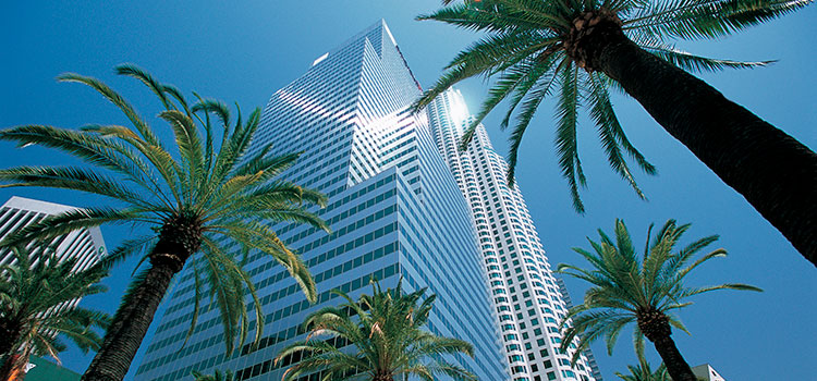 Какие налоговые преимущества дает регистрация оффшорной компании?